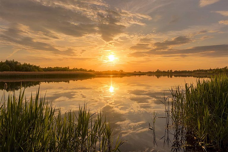 Sonnenuntergang in der Elbmarsch